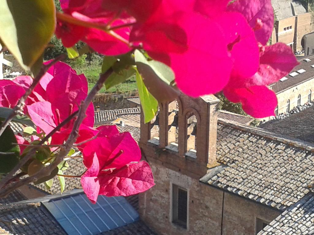 Residenza D'Epoca Campo Regio Relais Bed and Breakfast Siena Exteriör bild